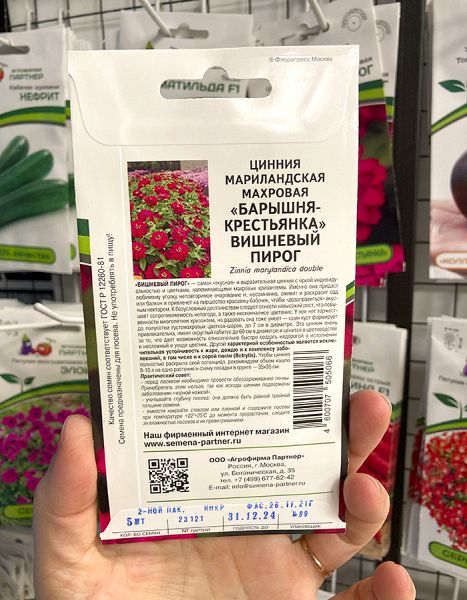 цинния махровая Вишнёвый пирог